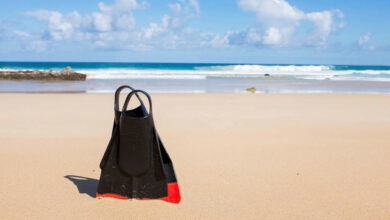 10 Best Places to Go Scuba Diving