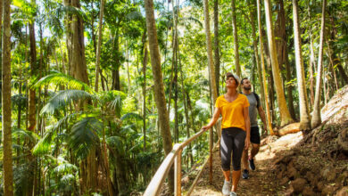 couple walkking on curtis falls track