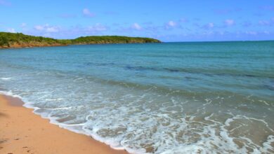 11 Reasons to Visit Puerto Rico This Year