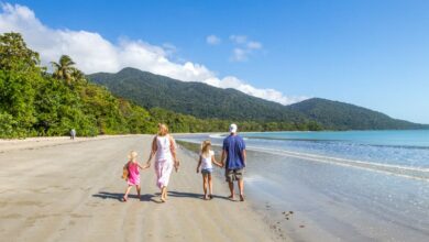 Take a walk along Cape Tribulation Beach in the Daintree Rainforest, Queensland, Australia