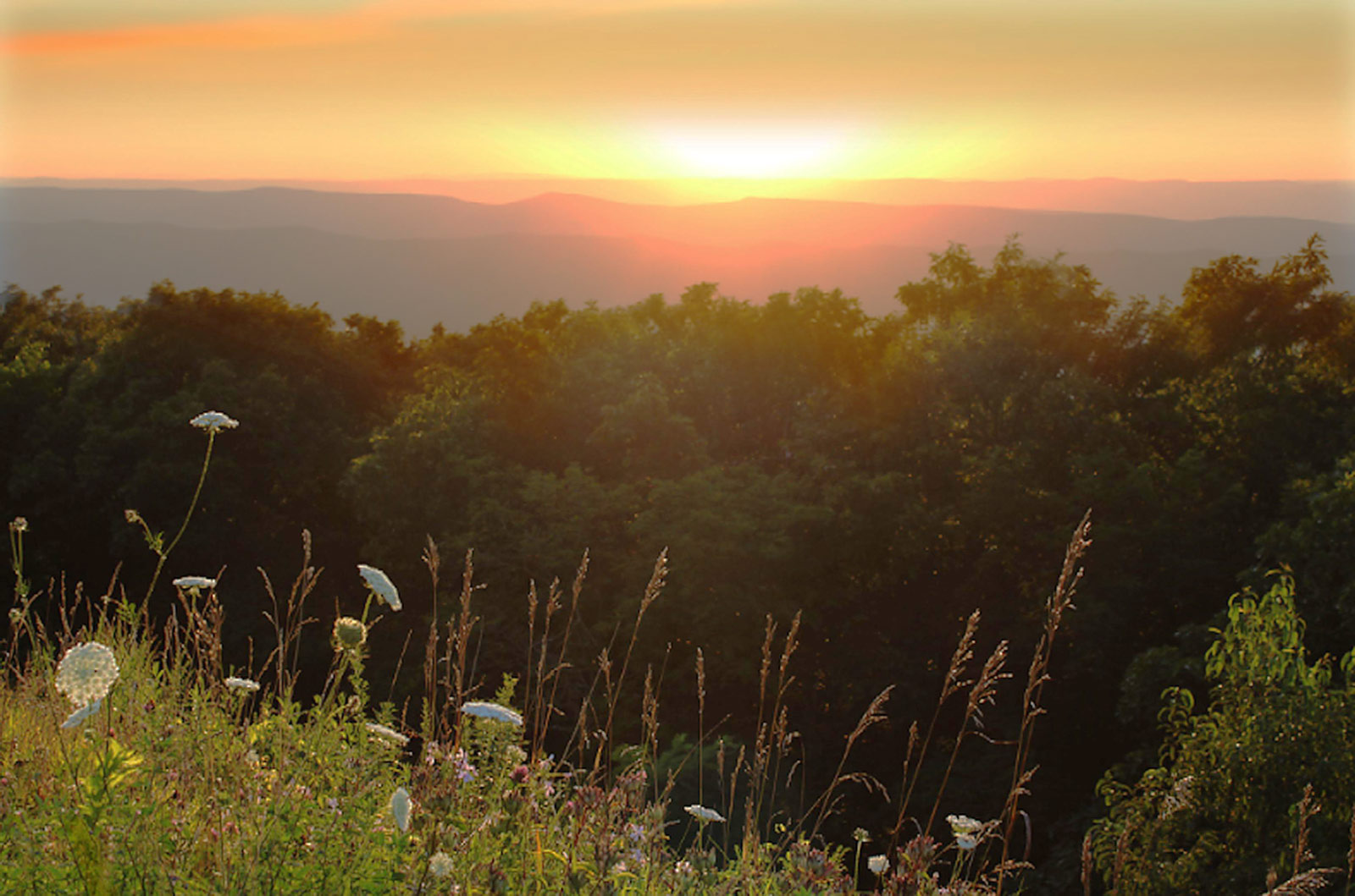 12 Beste Wanderungen im Shenandoah Nationalpark