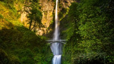 12 Best Hikes in Oregon That Will blow Your Mind