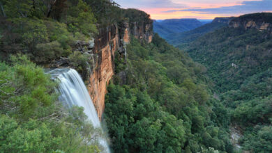 Fitzroy Fallsl falling over the forested cliffs