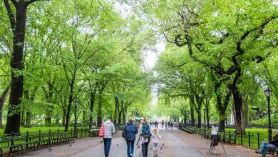 family walking through Central Park, New York City