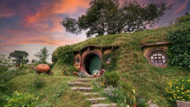 The Planet D: Adventure Travel Blog