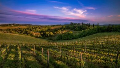 14 Remarkable Towns in Tuscany, Italy