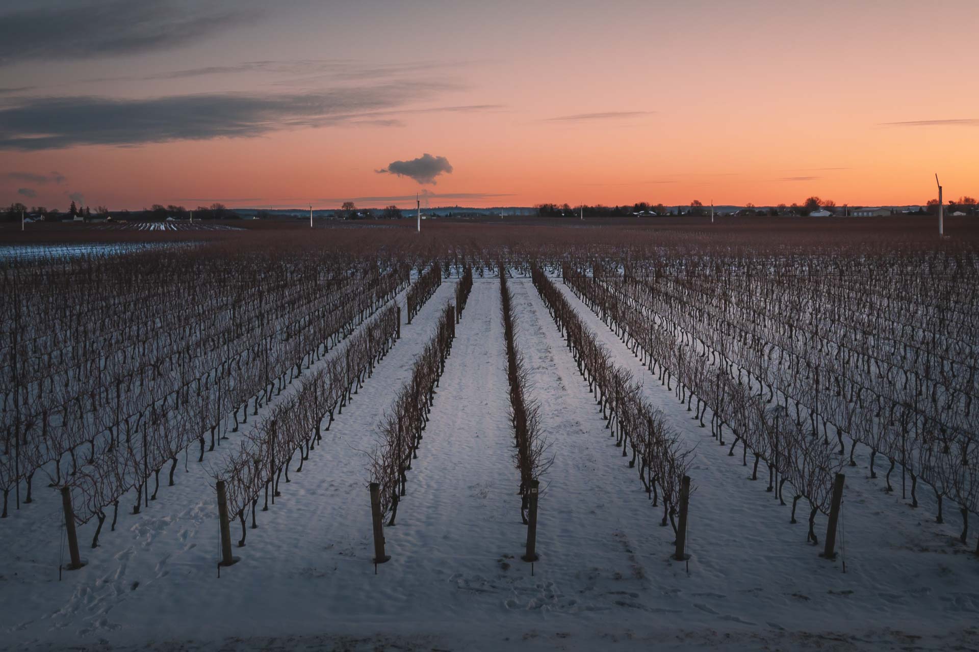 15 erstaunliche Dinge, die man in Niagara on the Lake – Kanada tun kann