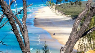 aerial view of car driging on 75 Mile Beach