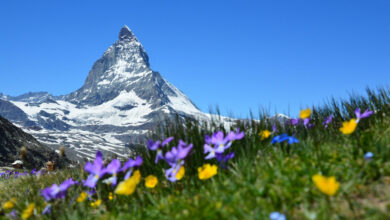 16 Incredible Facts About Switzerland