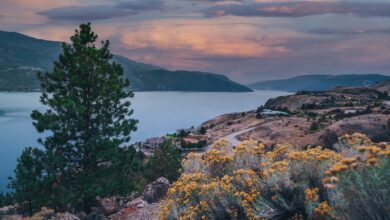 17 Best Things to do in Kelowna British Columbia