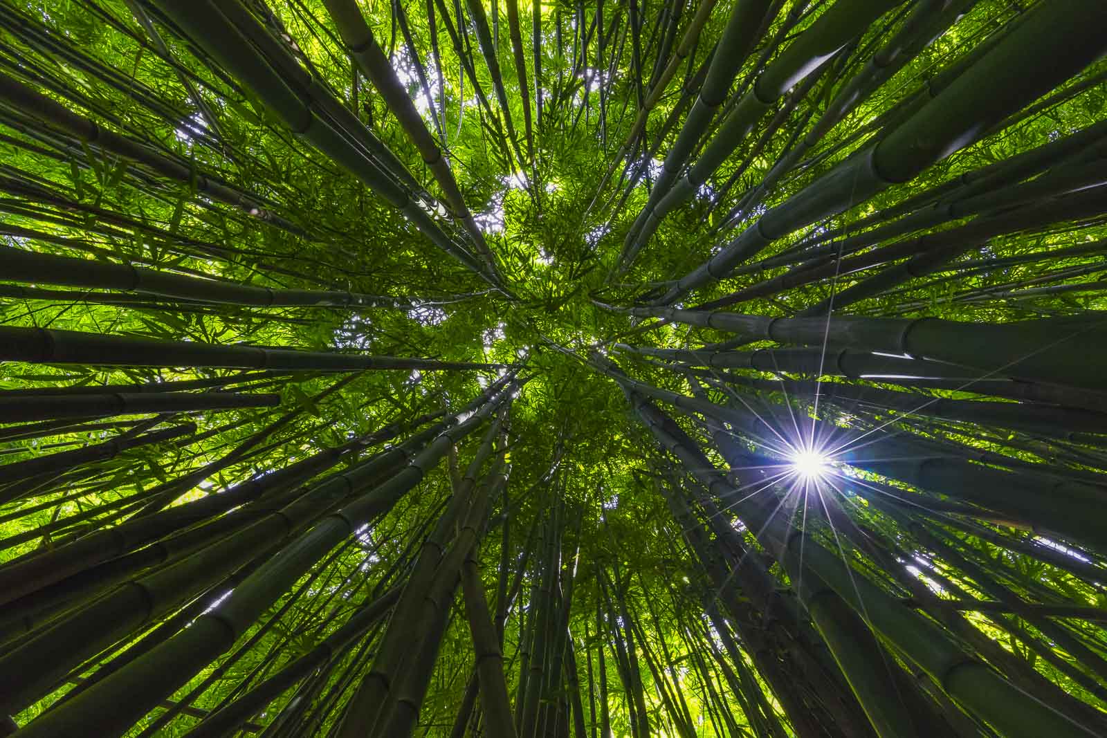 17 beste Wanderungen in Hawaii, die du einmal im Leben ausprobieren musst.