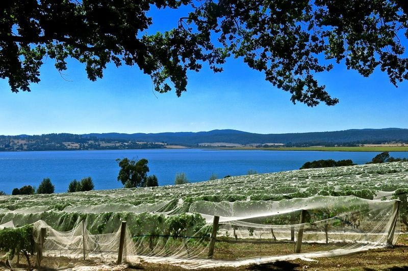 18 aufregende Dinge, die man in Launceston tun kann.