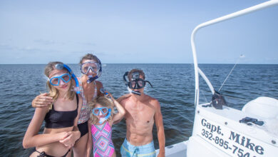 Things to do in North Florida
