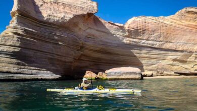19 Best Things to do in La Paz, Mexico