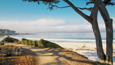 20 Best Things to Do in Carmel by the Sea, California