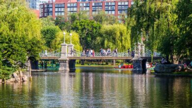 people crossing bridge over the lake in Boston Public Gardens