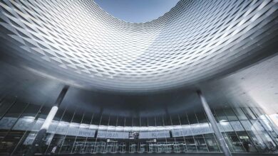 24 Fantastic Things to do in Basel, Switzerland