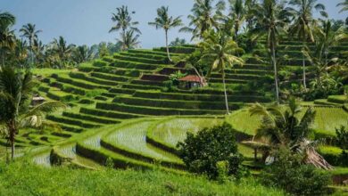 28 Things to do in Bali – Local Insider Tips