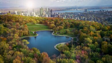 29 Best Things to do in Montreal, Canada