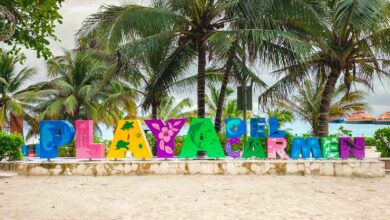 29 of Best Things to do in Playa Del Carmen, Mexico