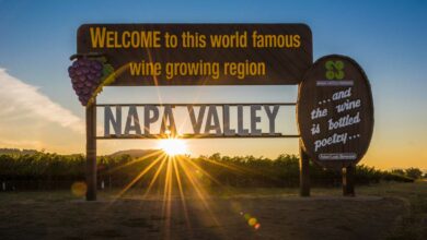 31 Best Things to do in Napa Valley