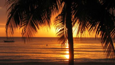 34 Best Things to do in Jamaica