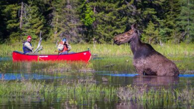 The Planet D: Adventure Travel Blog