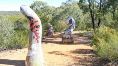 6 captivating things to do in Coonamble and the Pilliga in NSW