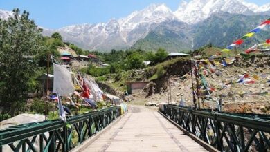 7 Best Hill Stations Near Delhi to Experience True India