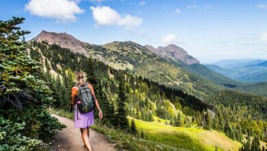 Things to Do in Olympic National Park