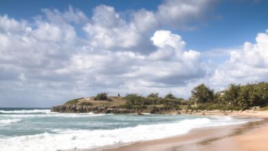7 Awesome Things to Do in Tofo, Mozambique