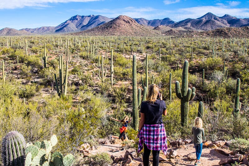 8 erstaunliche Dinge, die man im Saguaro Nationalpark in Tucson, Arizona tun kann.