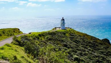 Bay of Islands Travel Guide