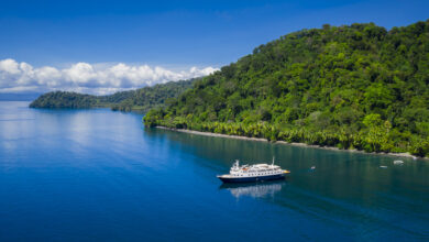 Best Unique Cruises on Seven Continents