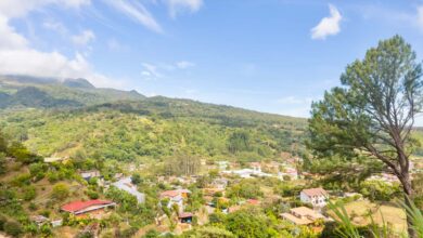 Boquete Travel Guide