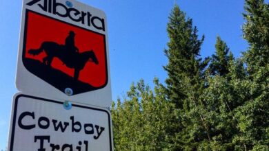 The Cowboy Trail – A Southern Alberta Road Trip
