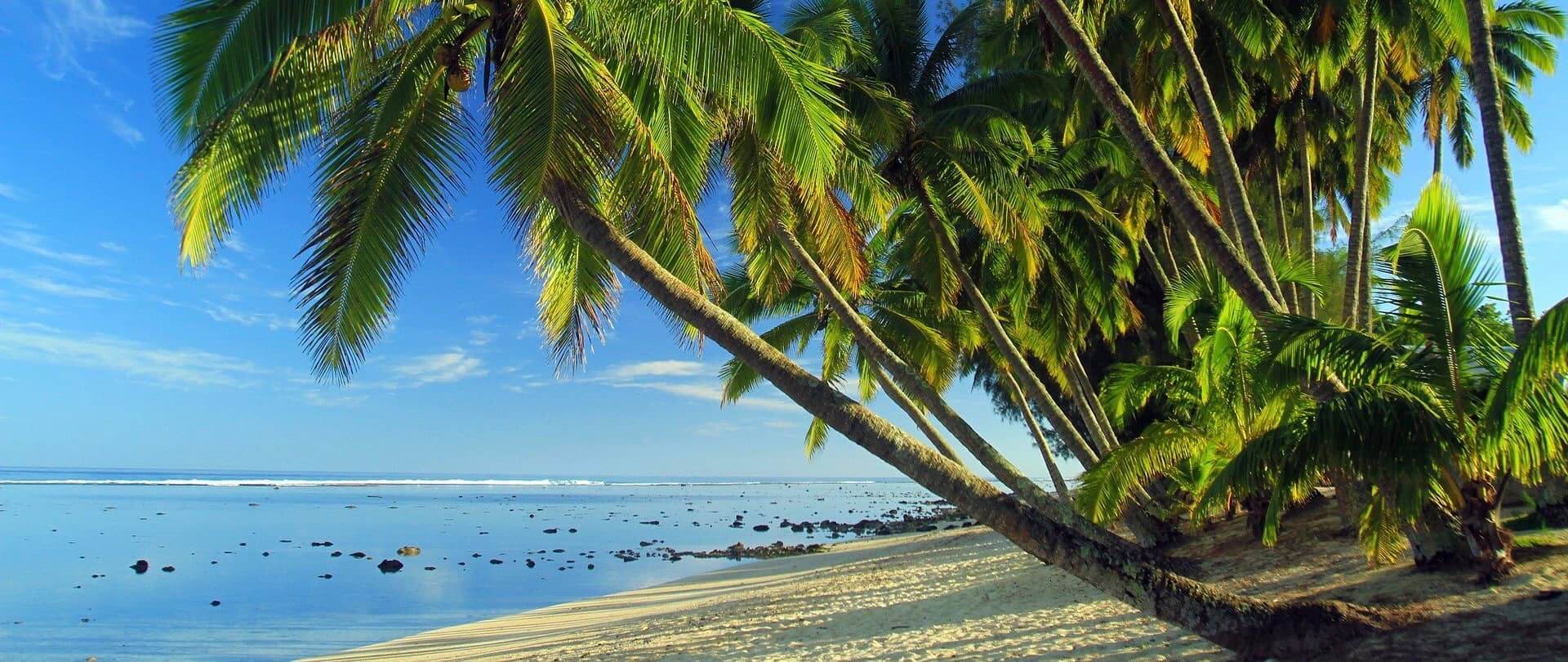 Der Reiseführer für die Cook Islands  Die Cook Islands sind ein bezauberndes Reiseziel für Menschen, die sich nach einem entspannten Inselleben sehnen. Mit seinem klaren Wasser, den weißen Sandstränden und einer reichen Kultur hat dieser Ort alles, was man sich nur wünschen kann.  Dieser Reiseführer bietet umfassende Informationen über alles, was man über die Cook Islands wissen sollte. Er enthält detaillierte Beschreibungen von den einzelnen Inseln, ihren Sehenswürdigkeiten, Aktivitäten und Unterkünften.  Er bietet auch praktische Tipps für Reisende, darunter Informationen zur Einreise, zum Transport zwischen den Inseln und zur besten Reisezeit. Ebenso werden die kulinarischen Köstlichkeiten der Cook Islands beschrieben.  Dieser Reiseführer wird Ihnen helfen, das Beste aus Ihrem Aufenthalt auf den Cook Islands zu machen. Egal, ob Sie sich für Wassersport, Kultur oder einfach nur Entspannung interessieren – die Cook Islands bieten für jeden Geschmack das Richtige.