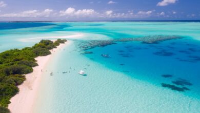 The Maldives Travel Guide