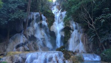 The Secret Pool of Kuang Si Waterfall