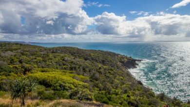 grassy cliffs on the ocean