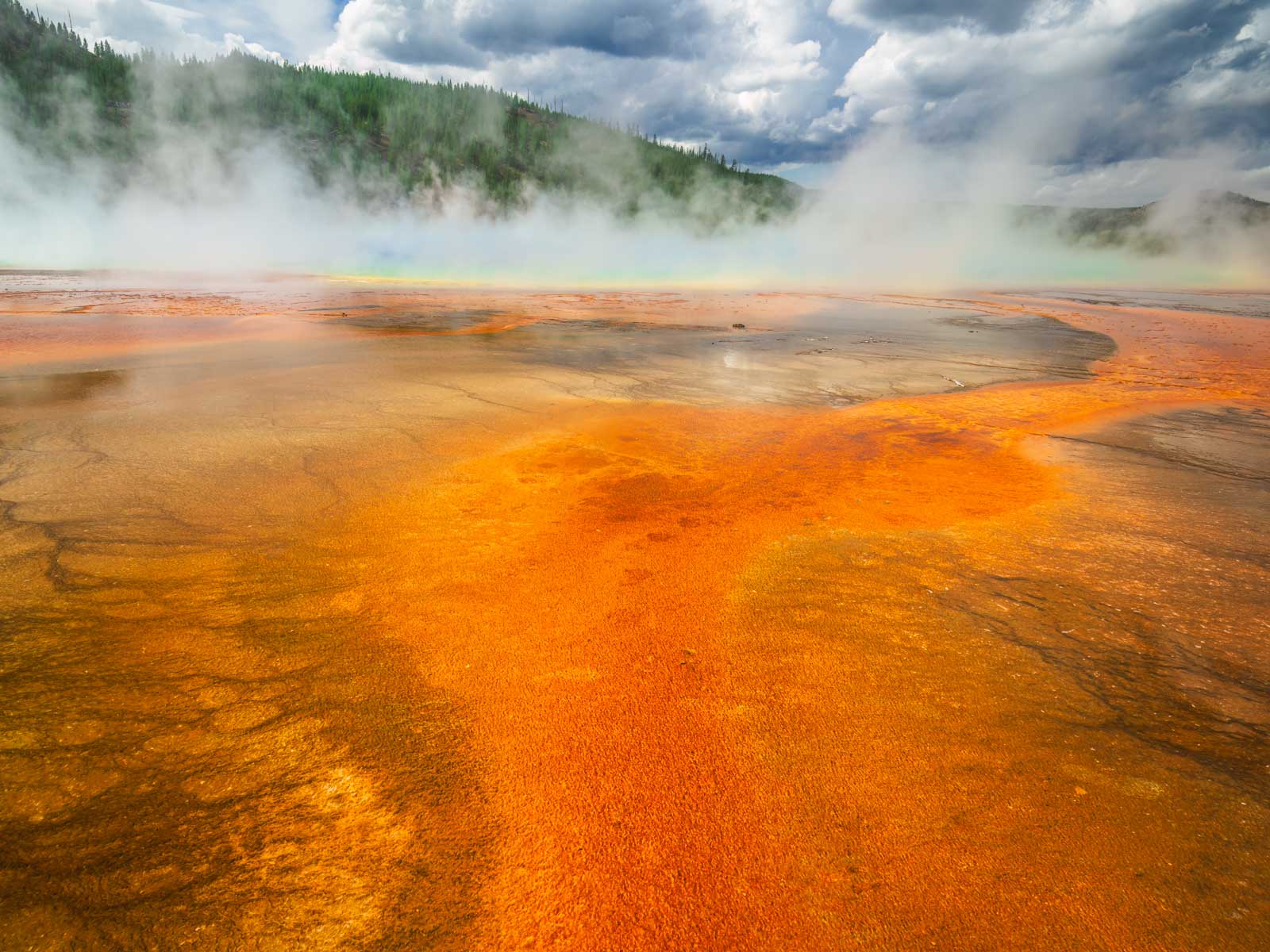 Der wesentliche Leitfaden für Grand Prismatic Spring im Yellowstone