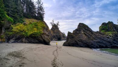 The 13 Best Things to See & Do on the Oregon Coast