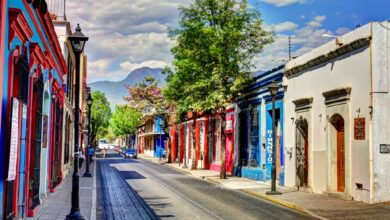 The 6 Best Hostels in Oaxaca