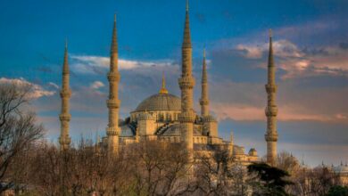 The Blue Mosque of Istanbul and tips for Entry