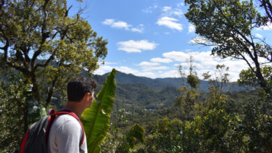 The Top Things to See and Do in Madagascar