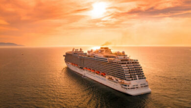 The Best Cruise Travel Insurance