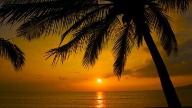 Best Things to Do in Maui on a Short Break