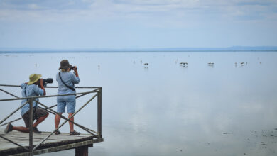 The Best Travel Gear and Travel accessories