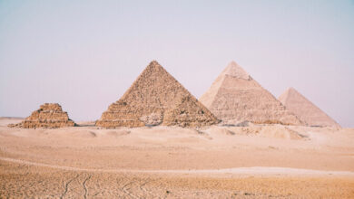 The Best Tour Companies in Egypt