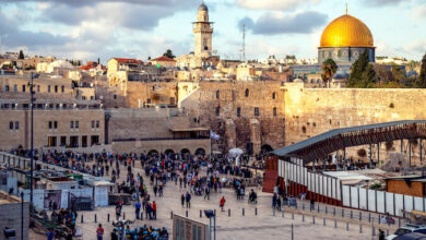 Best Tour Companies in Israel